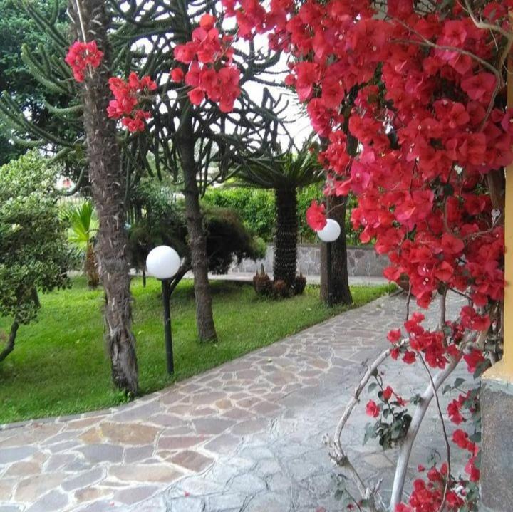 Ospitalita Il Noce Bed & Breakfast Brusciano Exterior photo